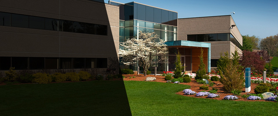 Golden Valley Landscapers