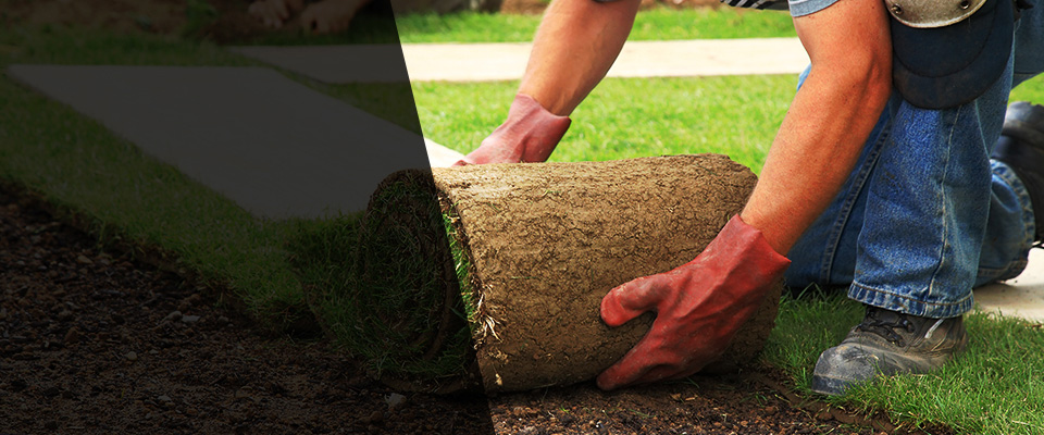 Golden Valley Landscapers